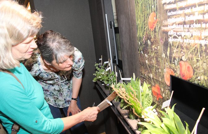 Sonderausstellung (2)
