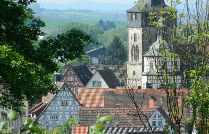 Rundgang durch Oberstenfeld.  <span class='image-autor'>Foto: Oechsle</span>