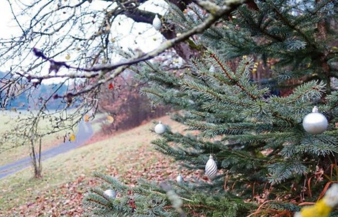 Im Auricher Tal ist der Nadelbaum schon geschmückt.  Foto: Rücker