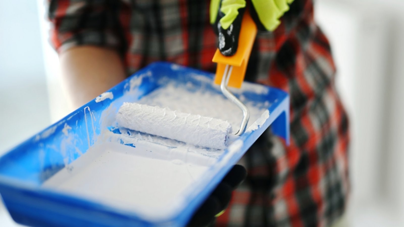 Wer Schimmel entdeckt, denkt schnell daran, diesen zu überstreichen. Wann das Überstreichen von Schimmel strafbar ist, erfahren Sie hier.Foto: In Green / Shutterstock.com Wer Schimmel entdeckt, denkt schnell daran, diesen zu überstreichen. Wann das Überstreichen von Schimmel strafbar ist, erfahren Sie hier.Foto: In Green / Shutterstock.com