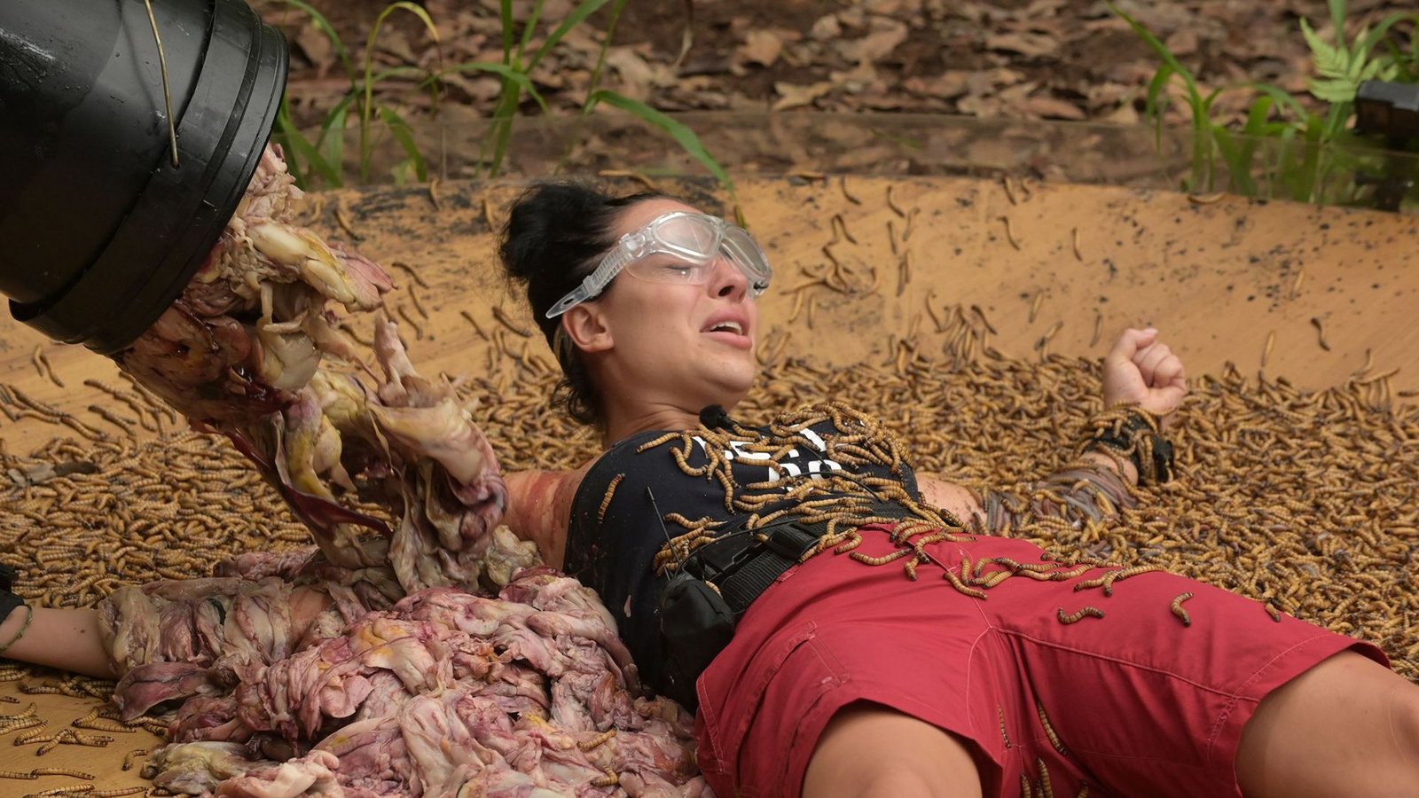 Leyla wird mit Mehlwürmern zugeschüttet.Foto: RTL / Stefan Thoyah/Ich bin ein Star - Holt mich hier raus! Das große Finale Leyla wird mit Mehlwürmern zugeschüttet.Foto: RTL / Stefan Thoyah/Ich bin ein Star - Holt mich hier raus! Das große Finale