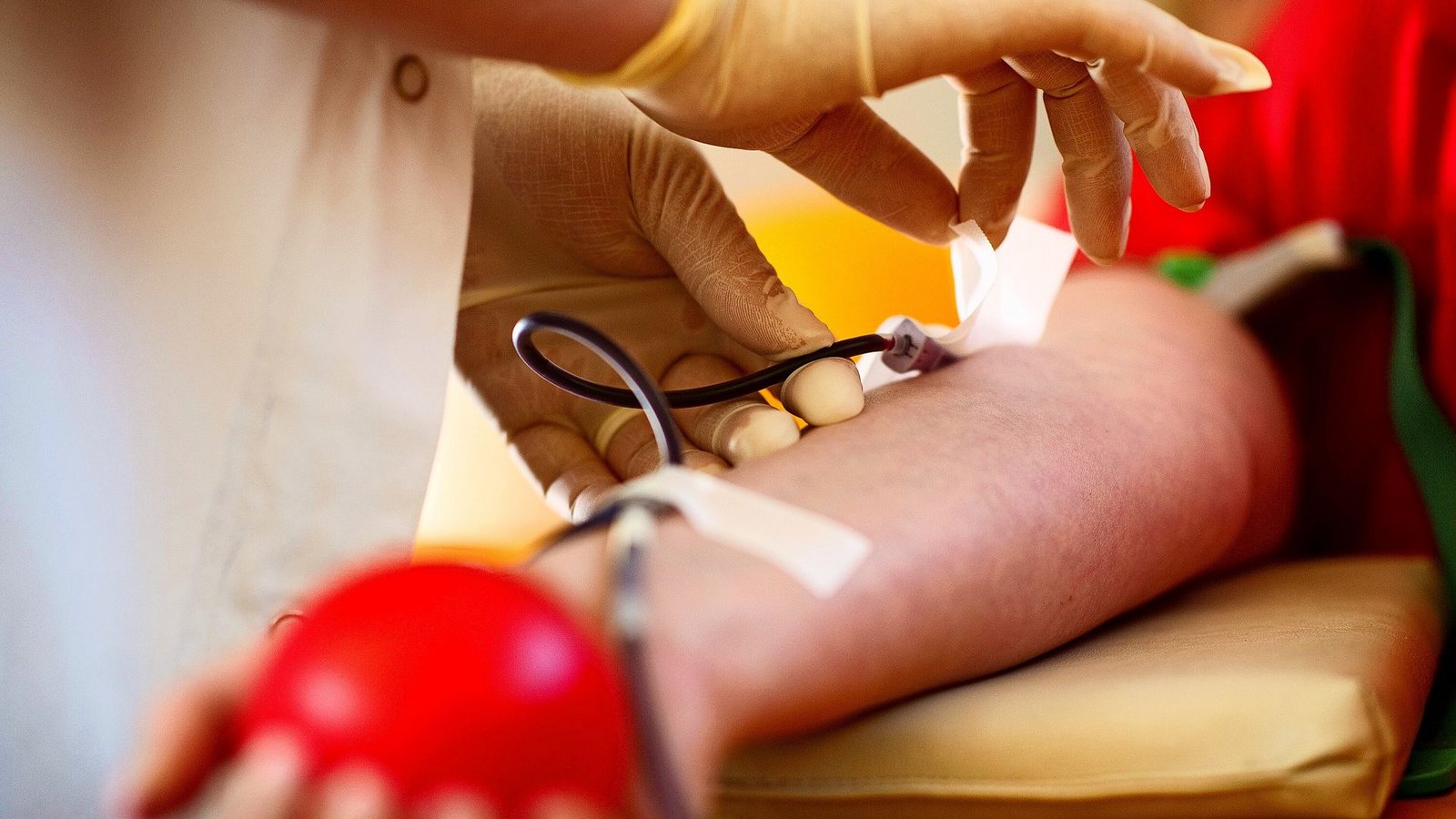 Die Regierung will beim Blutspenden die Diskriminierung von Schwulen beenden.Foto: dpa/Arno Burgi Die Regierung will beim Blutspenden die Diskriminierung von Schwulen beenden.Foto: dpa/Arno Burgi