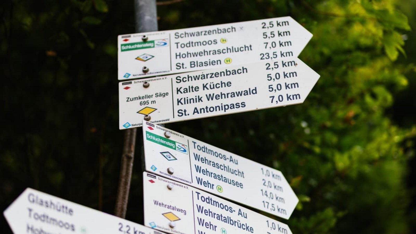 Die damals 26-jährige Scarlett Salice wird seit dem September 2020 vermisst, sie war von einer Wanderung entlang des Schluchtensteigs nahe Todtmoos nicht zurückgekehrt.Philipp von Ditfurth/dpa Die damals 26-jährige Scarlett Salice wird seit dem September 2020 vermisst, sie war von einer Wanderung entlang des Schluchtensteigs nahe Todtmoos nicht zurückgekehrt.Philipp von Ditfurth/dpa