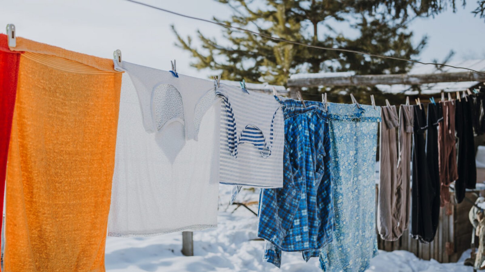 Erfahren Sie, wie Sie Ihre Wäsche auch im Winter draußen trocknen können, warum Sublimation dabei eine Rolle spielt und welche Bedingungen für das Frosttrocknen optimal sind.Foto: Ivan Babydov / Shutterstock.com Erfahren Sie, wie Sie Ihre Wäsche auch im Winter draußen trocknen können, warum Sublimation dabei eine Rolle spielt und welche Bedingungen für das Frosttrocknen optimal sind.Foto: Ivan Babydov / Shutterstock.com