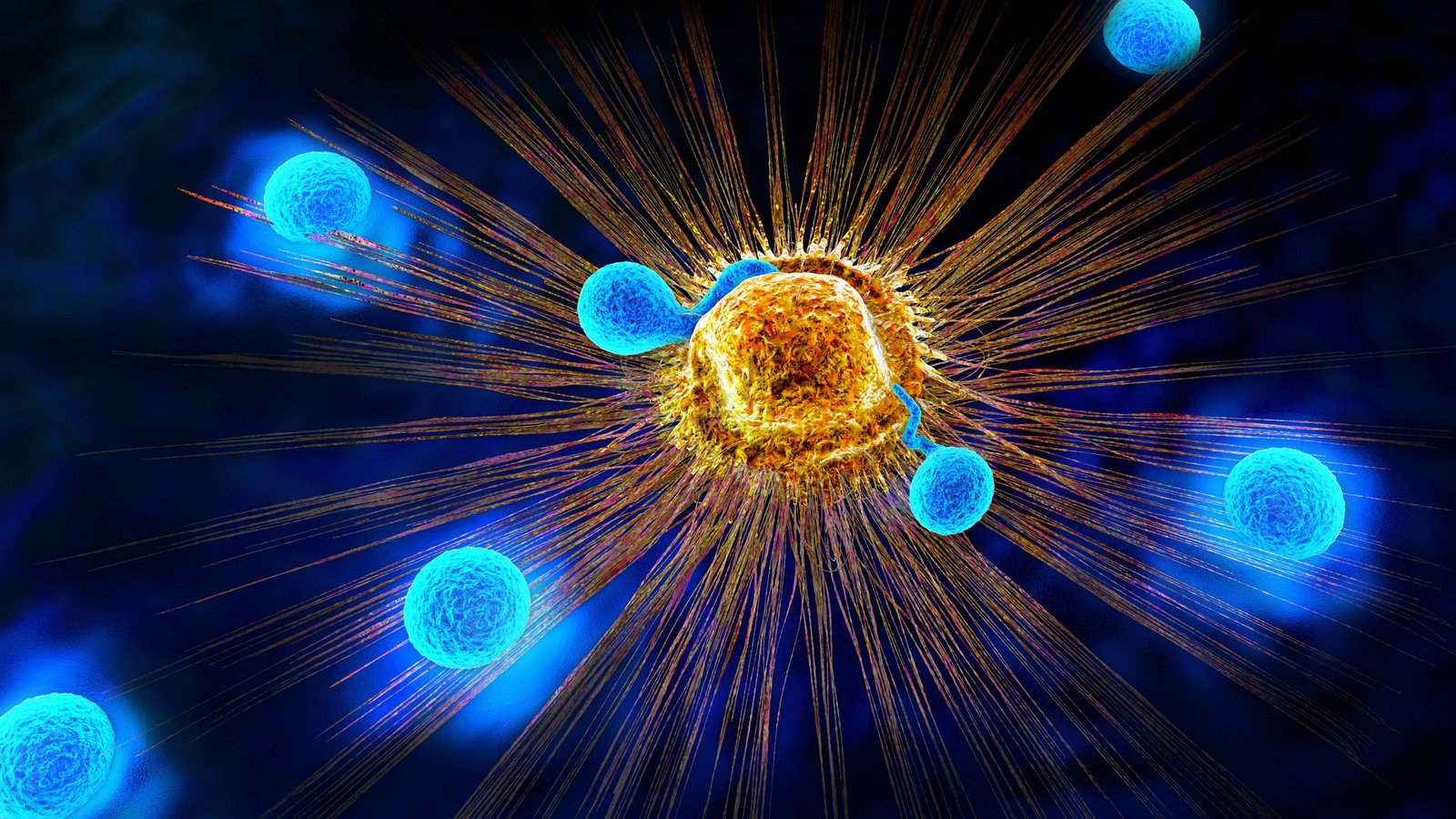 Immunsystem im Kampf gegen Krebszellen.Foto: IMAGO/Zoonar/IMAGO/Zoonar.com/Christoph Burgstedt