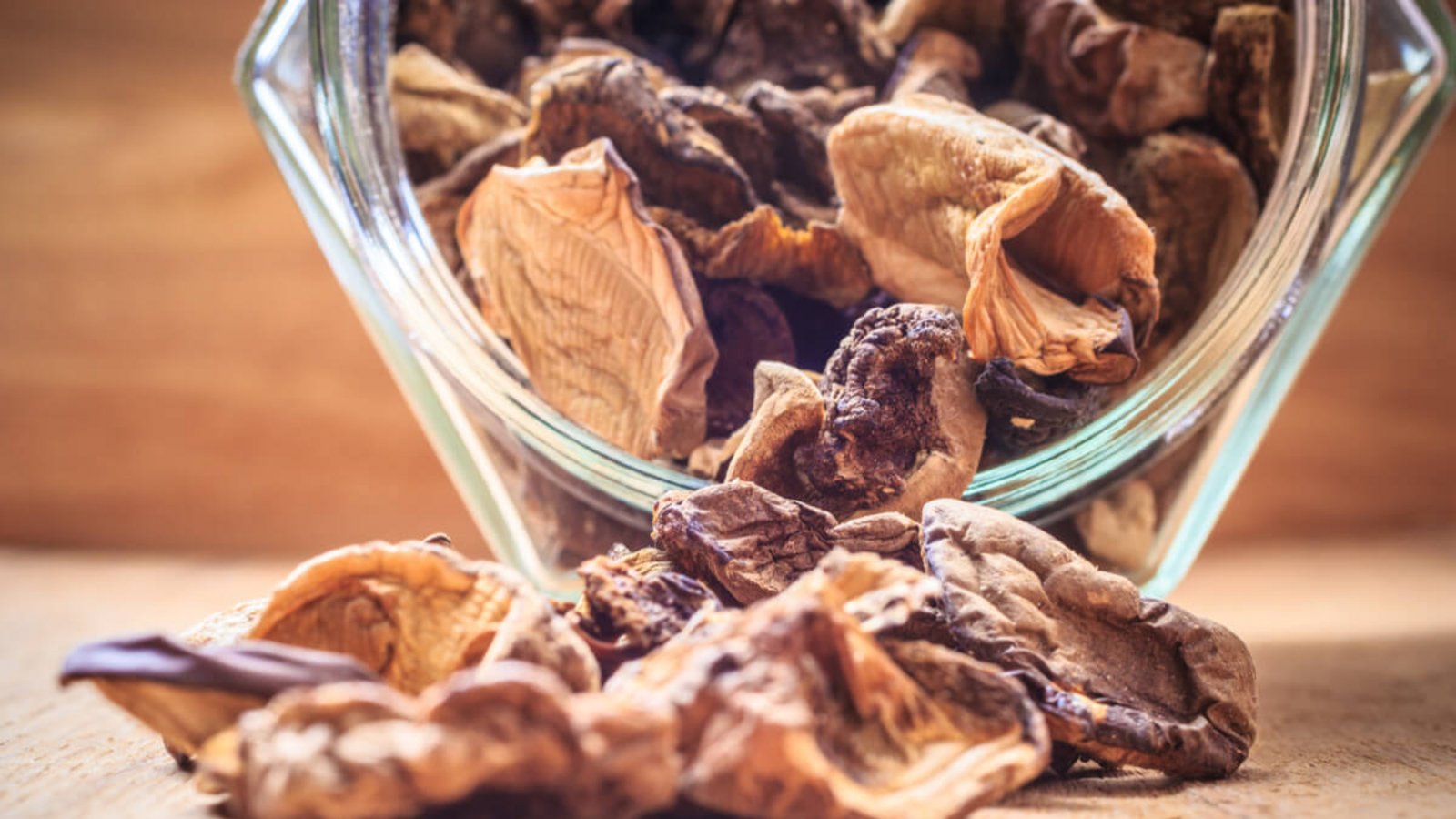 Pilze sind getrocknet mehrere Monate haltbar. Hier erfahren Sie 3 Methoden, wie sich Pilze einfach trocknen und somit lange lagern lassen.Foto: Anetlanda / Shutterstock.com Pilze sind getrocknet mehrere Monate haltbar. Hier erfahren Sie 3 Methoden, wie sich Pilze einfach trocknen und somit lange lagern lassen.Foto: Anetlanda / Shutterstock.com