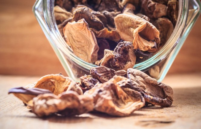 Pilze sind getrocknet mehrere Monate haltbar. Hier erfahren Sie 3 Methoden, wie sich Pilze einfach trocknen und somit lange lagern lassen.<span class='image-autor'>Foto: Anetlanda / Shutterstock.com</span>