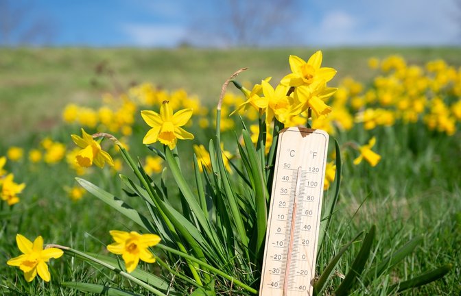 Wann kommt der Frühling zurück?<span class='image-autor'>Foto: Berit Kessler / shutterstock.com</span>
