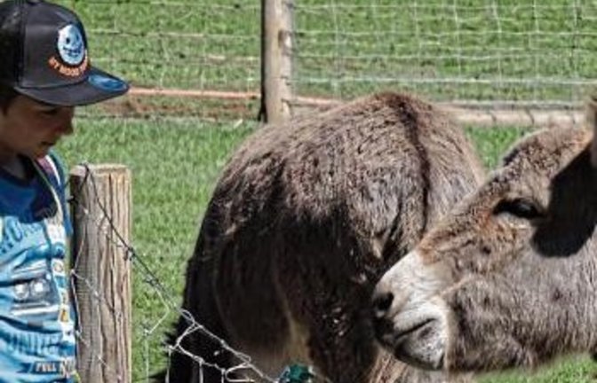Auf den Spuren biblischer Tiere im Wildparadies Tripsdrill. Foto: p