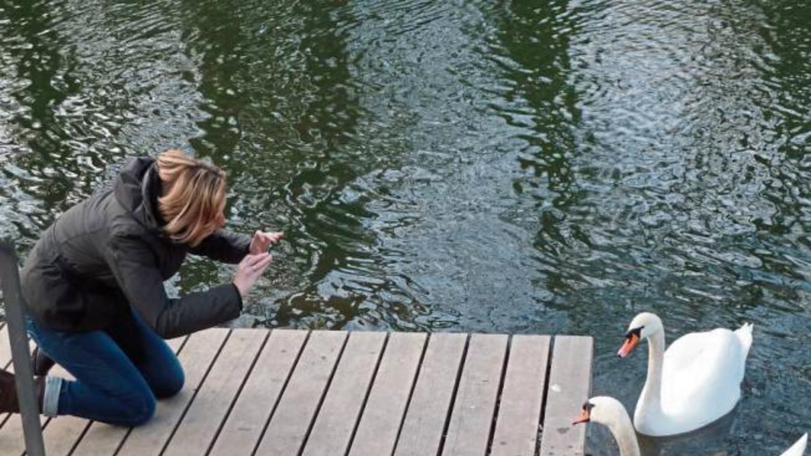 Rendezvous am Vaihinger Enzufer: „Bitte recht freundlich!“ Foto: Arning