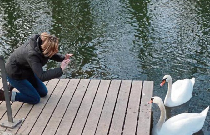 Rendezvous am Vaihinger Enzufer: „Bitte recht freundlich!“ Foto: Arning