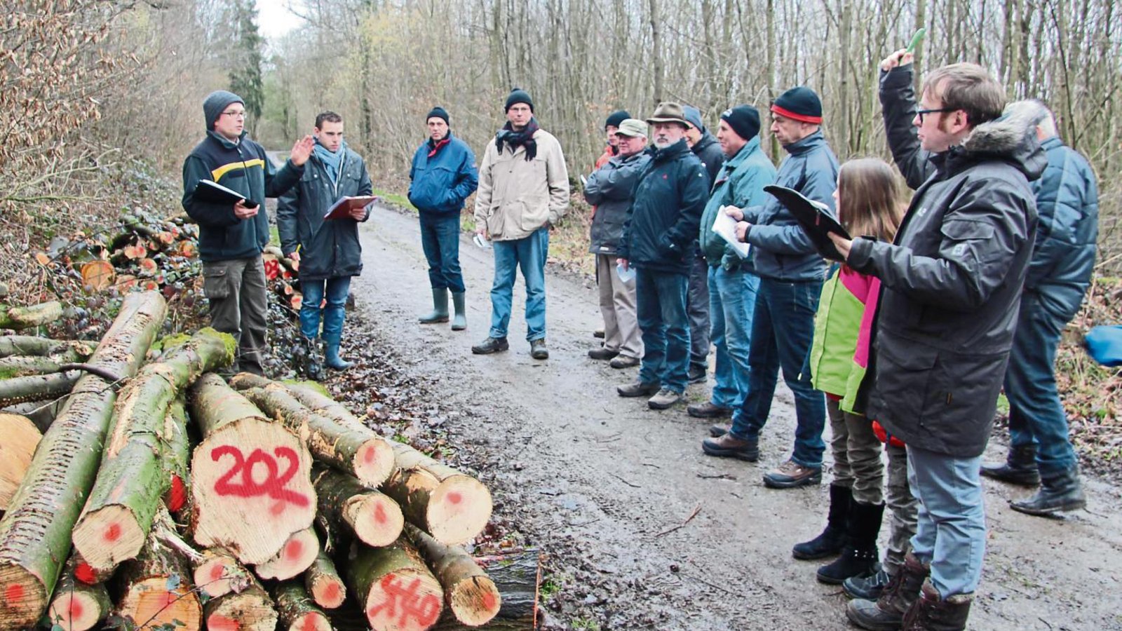 Rund 15 Interessenten kamen zur Brennholzversteigerung. Als Grund für die geringe Nachfrage vermutet die Stadt unter anderem den niedrigen Ölpreis. Fotos: Gergen Rund 15 Interessenten kamen zur Brennholzversteigerung. Als Grund für die geringe Nachfrage vermutet die Stadt unter anderem den niedrigen Ölpreis. Fotos: Gergen