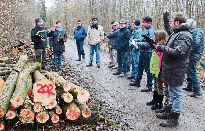 Rund 15 Interessenten kamen zur Brennholzversteigerung. Als Grund für die geringe Nachfrage vermutet die Stadt unter anderem den niedrigen Ölpreis. Fotos: Gergen