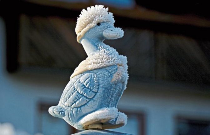 Ihr eisiges Winterkleid dürfte diese Ente angesichts steigender Temperaturen bald verloren haben. Fotografiert von unserem Leser Wolfgang Götzke aus Ensingen.