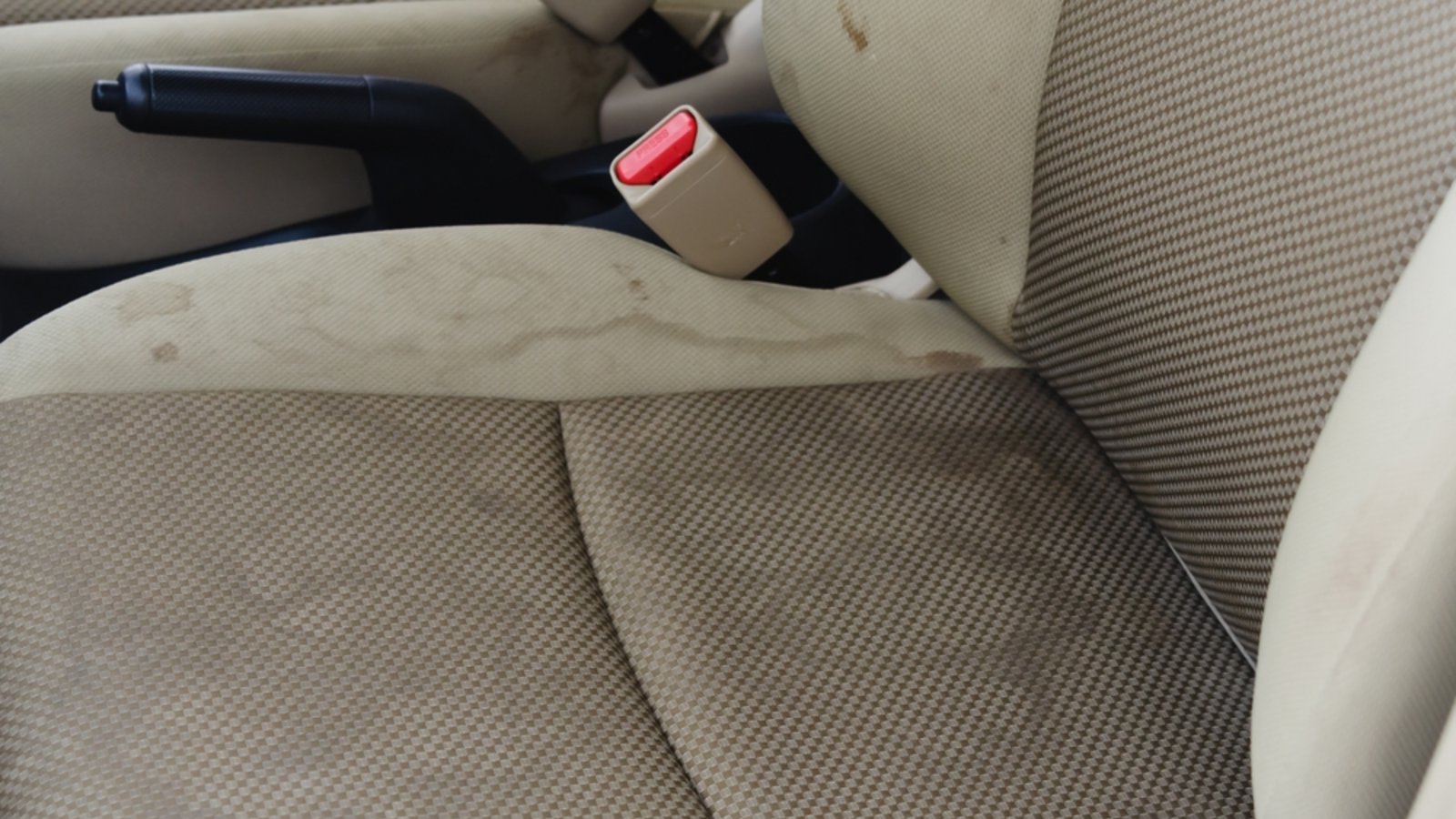 Erfahren Sie, wie Sie Ihre Autopolster effektiv reinigen und Flecken entfernen. Unsere detaillierte Anleitung zeigt Ihnen Schritt für Schritt, wie Sie Ihr Auto sauber und frisch halten.Foto: KhunkornStudio / Shutterstock.com Erfahren Sie, wie Sie Ihre Autopolster effektiv reinigen und Flecken entfernen. Unsere detaillierte Anleitung zeigt Ihnen Schritt für Schritt, wie Sie Ihr Auto sauber und frisch halten.Foto: KhunkornStudio / Shutterstock.com