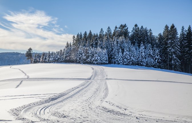 Der Schwarzwald bekommt noch einmal viel Schnee ab.<span class='image-autor'>Foto: Markus Zeller / shutterstock.com</span>