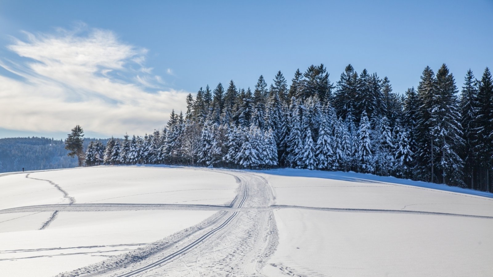 Der Schwarzwald bekommt noch einmal viel Schnee ab.Foto: Markus Zeller / shutterstock.com Der Schwarzwald bekommt noch einmal viel Schnee ab.Foto: Markus Zeller / shutterstock.com