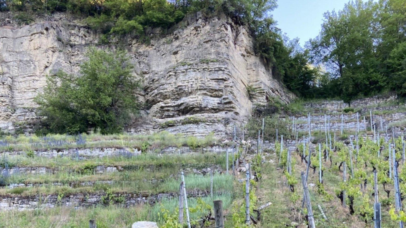 Von hier fielen Steine auf den Enztalradweg hinab.  Foto: Stadtverwaltung Mühlacker