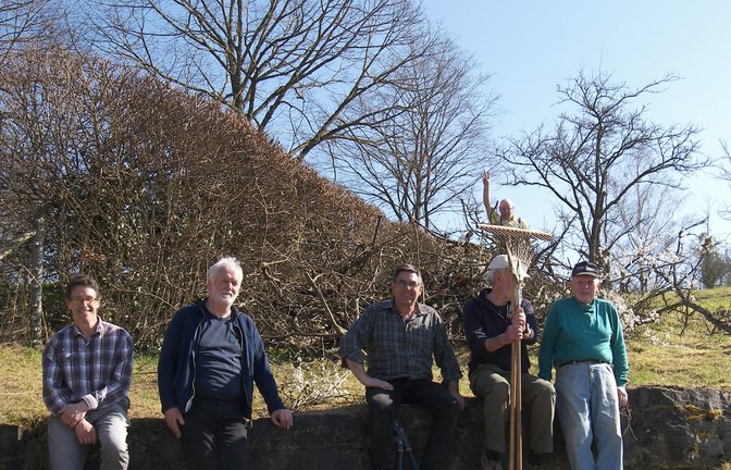 Die freiwilligen Helfer haben innerhalb eines Nachmittags alle Bäume geschnitten.  <span class='image-autor'>Foto: p</span>