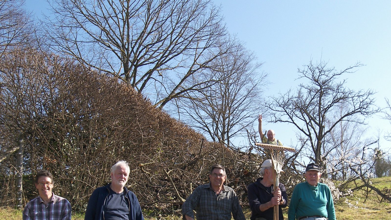 Die freiwilligen Helfer haben innerhalb eines Nachmittags alle Bäume geschnitten. Foto: p Die freiwilligen Helfer haben innerhalb eines Nachmittags alle Bäume geschnitten. Foto: p