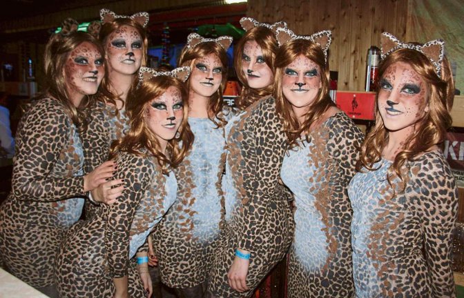 Die Damen der Wettkampfgymnastik des TV Sersheim hatten sich als Leopardinnen verkleidet. Fotos: Jähne