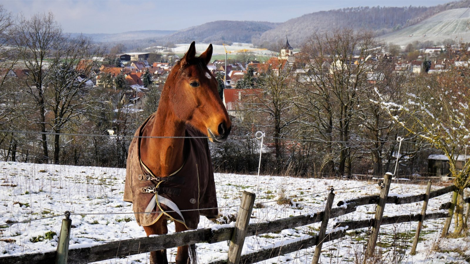 Rudi Thalhäuser grüßt mit diesem Winterbild aus Gündelbach. 