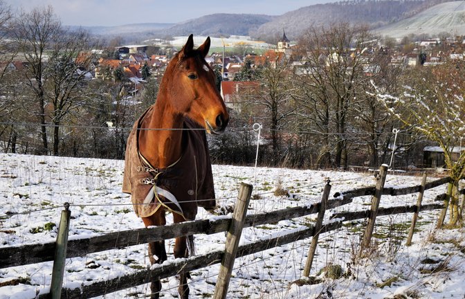 Rudi Thalhäuser grüßt mit diesem Winterbild aus Gündelbach. 