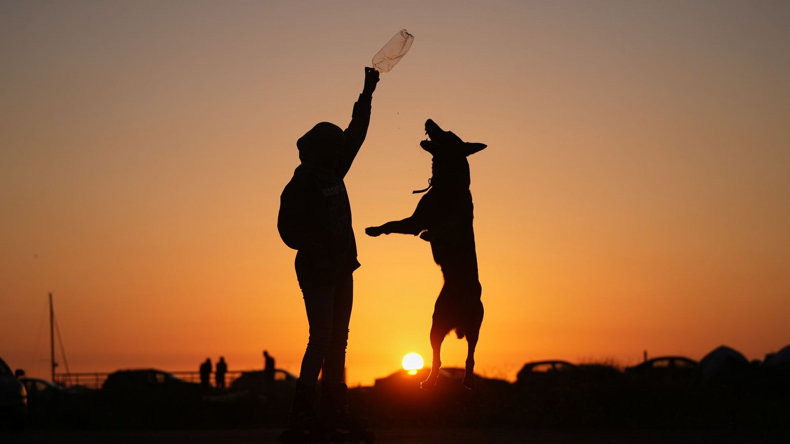 Sidra Mohamad Saadeh, 13, die durch israelische Luftangriffe in Dahija, den südlichen Vororten Beiruts, vertrieben wurde, spielt bei Sonnenuntergang mit einem Hund namens Rocky auf einem öffentlichen Platz an der Beiruter Uferpromenade.Foto: Hassan Ammar/AP/dpa Sidra Mohamad Saadeh, 13, die durch israelische Luftangriffe in Dahija, den südlichen Vororten Beiruts, vertrieben wurde, spielt bei Sonnenuntergang mit einem Hund namens Rocky auf einem öffentlichen Platz an der Beiruter Uferpromenade.Foto: Hassan Ammar/AP/dpa