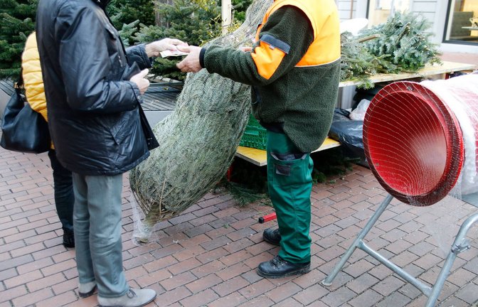 Kunden müssen in diesem Jahr mit leichten Preisanstiegen bei den Christbäumen rechnen. (Symbolfoto)<span class='image-autor'>Foto: imago images//MANUEL GEISSER</span>