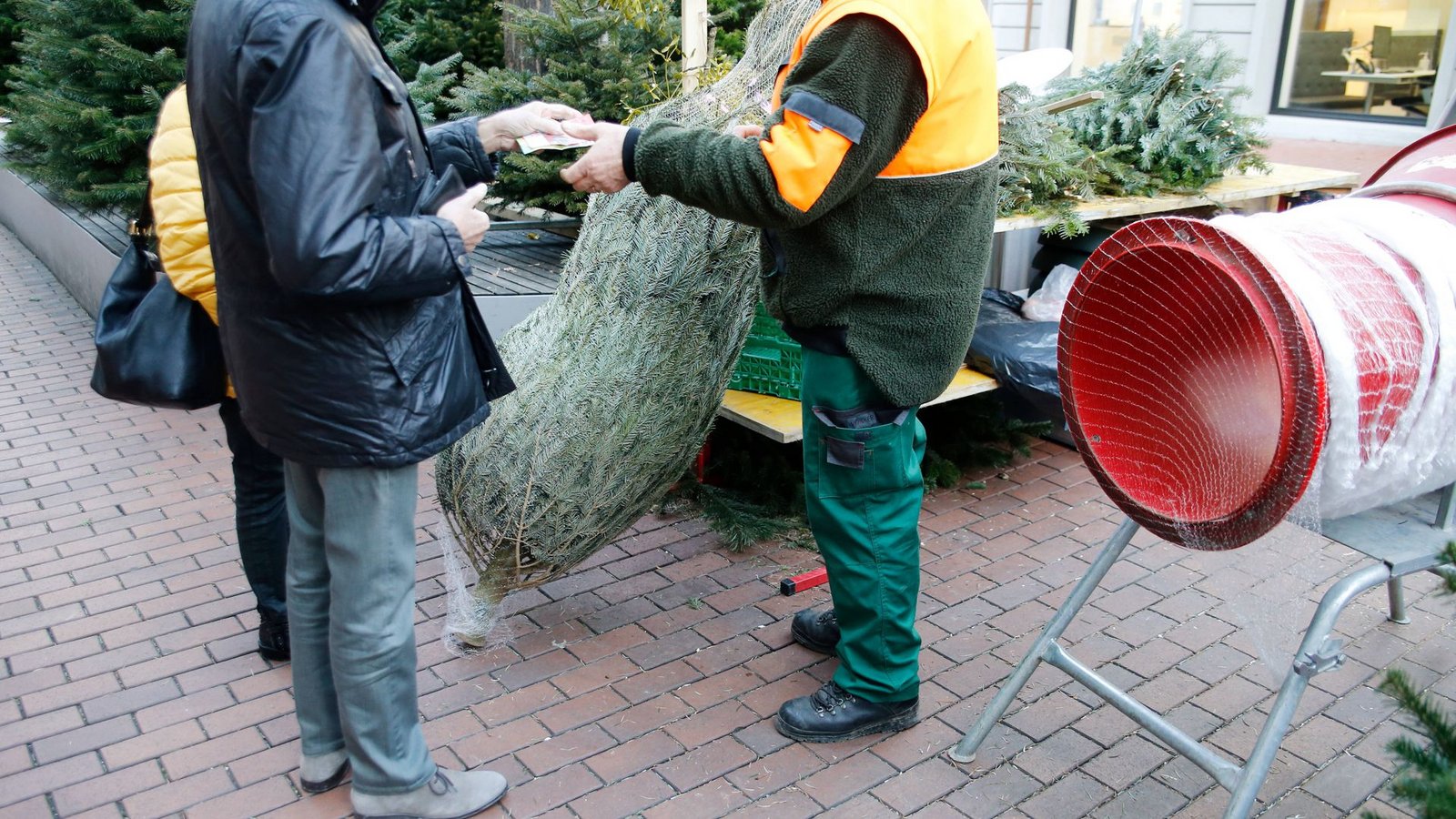 Kunden müssen in diesem Jahr mit leichten Preisanstiegen bei den Christbäumen rechnen. (Symbolfoto)Foto: imago images//MANUEL GEISSER Kunden müssen in diesem Jahr mit leichten Preisanstiegen bei den Christbäumen rechnen. (Symbolfoto)Foto: imago images//MANUEL GEISSER