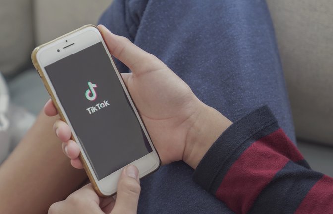 Auf TikTok trendet gerade ein dreibeiniger Hai: Tralalero Tralala.<span class='image-autor'>Foto: SewCreamStudio/ Shutterstock</span>