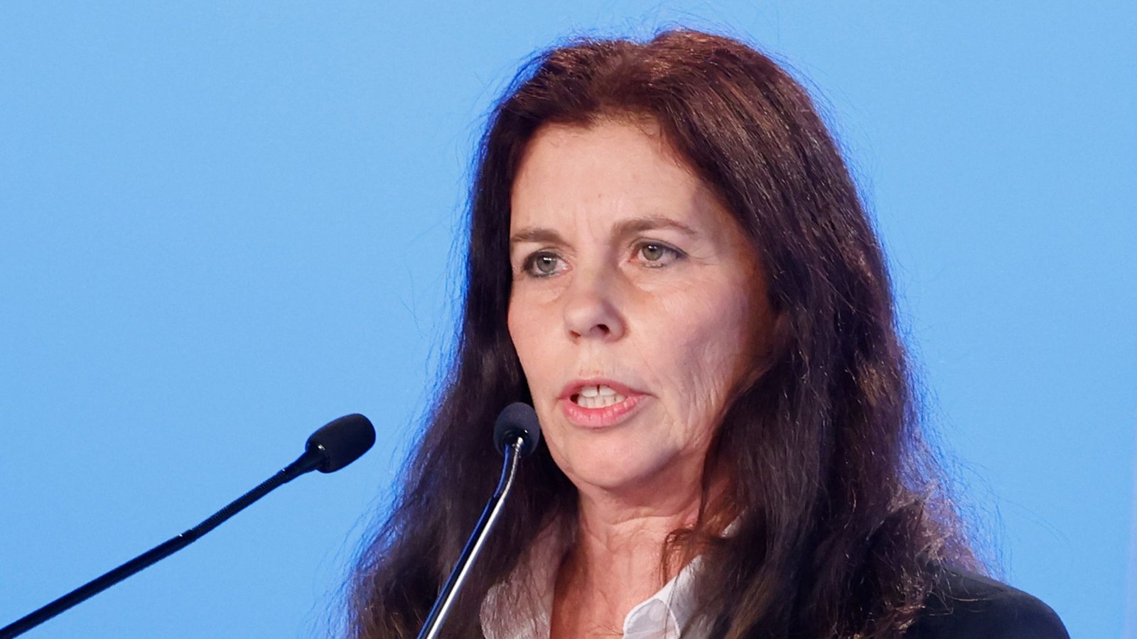 Die Europaabgeordnete Arndt hatte schwere Vorwürfe gegen die AfD-Spitze in Niedersachsen erhoben. (Archivbild)Foto: Carsten Koall/dpa