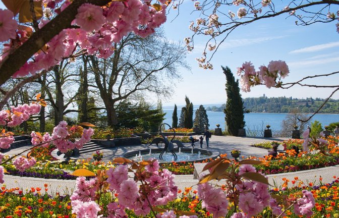 Für viele die schönste Zeit des Jahres: der Frühling.<span class='image-autor'>Foto: Insel Mainau//Peter Allgaier</span>