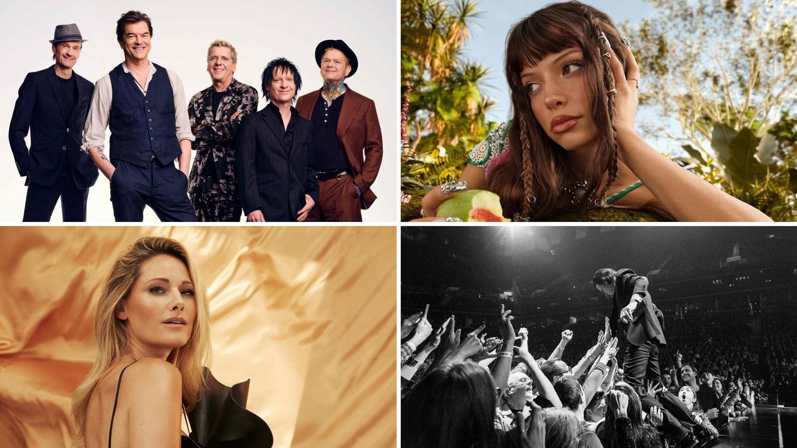 Die Toten Hosen, Nina Chuba, Nick Cave und Helene Fischer (von links oben im Uhrzeigersinn) kommen im Jahr 2026 nach Stuttgart.Foto: Veranstalter