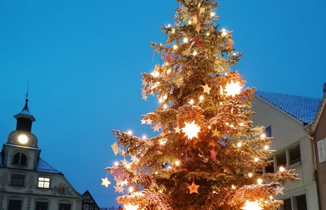 Mit dieser Ansicht des Vaihinger Weihnachtsbaums wünschen wir unseren Lesern eine schöne und friedvolle Weihnachtszeit.  <span class='image-autor'>Foto: Banholzer</span>