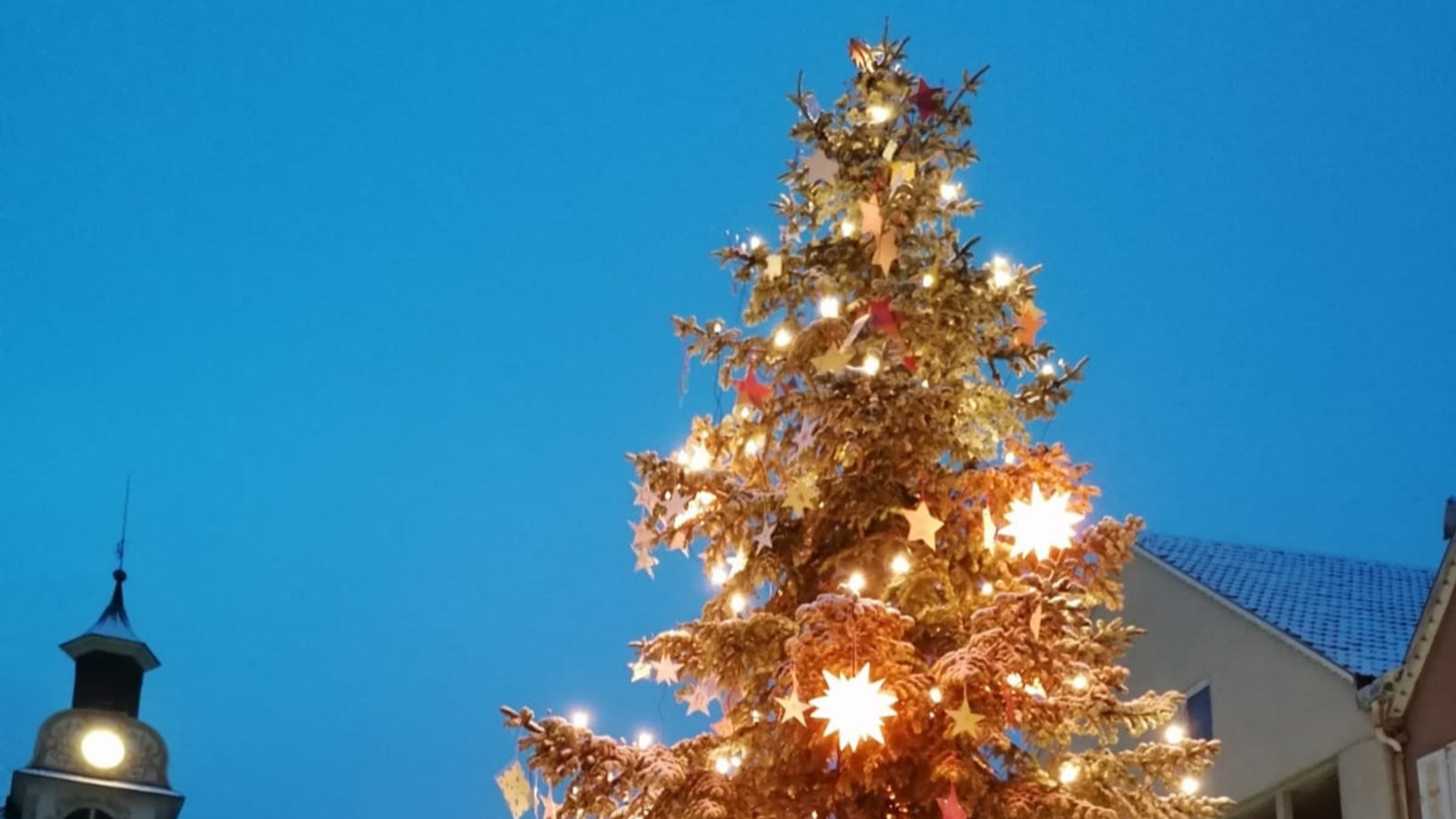 Mit dieser Ansicht des Vaihinger Weihnachtsbaums wünschen wir unseren Lesern eine schöne und friedvolle Weihnachtszeit.  Foto: Banholzer