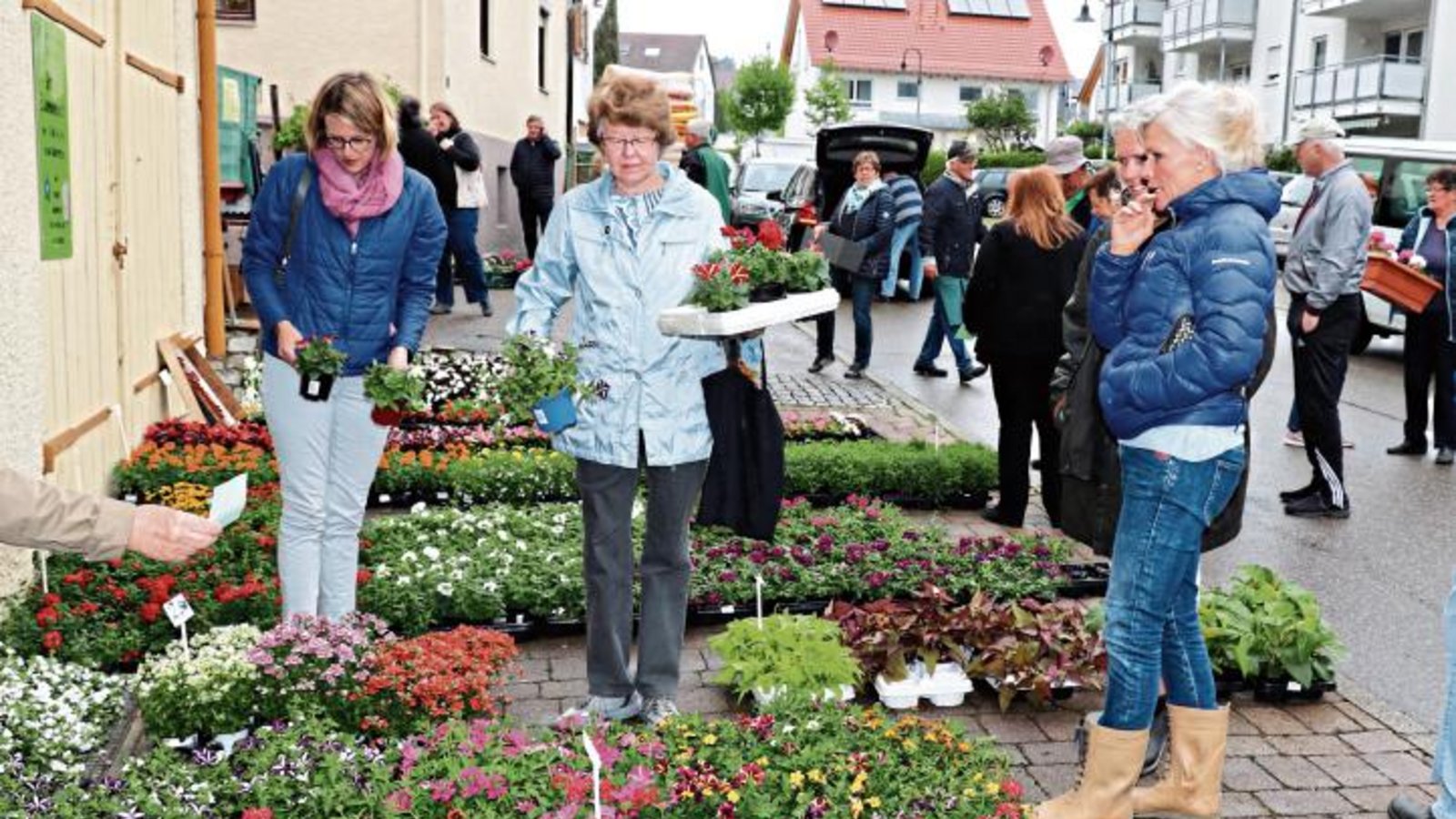 Bei dem großen Angebot Pflanzen fällt die Auswahl nicht leicht. Foto: Gergen Bei dem großen Angebot Pflanzen fällt die Auswahl nicht leicht. Foto: Gergen