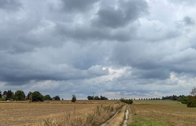 Wetter in Böblingen: Am Mittwoch wird es bis knapp 28 Grad warm. In der Nacht und am Donnerstag steigt die Regenneigung, in Baden-Württemberg sind Gewitter möglich.<span class='image-autor'>Jan Woitas/dpa</span>