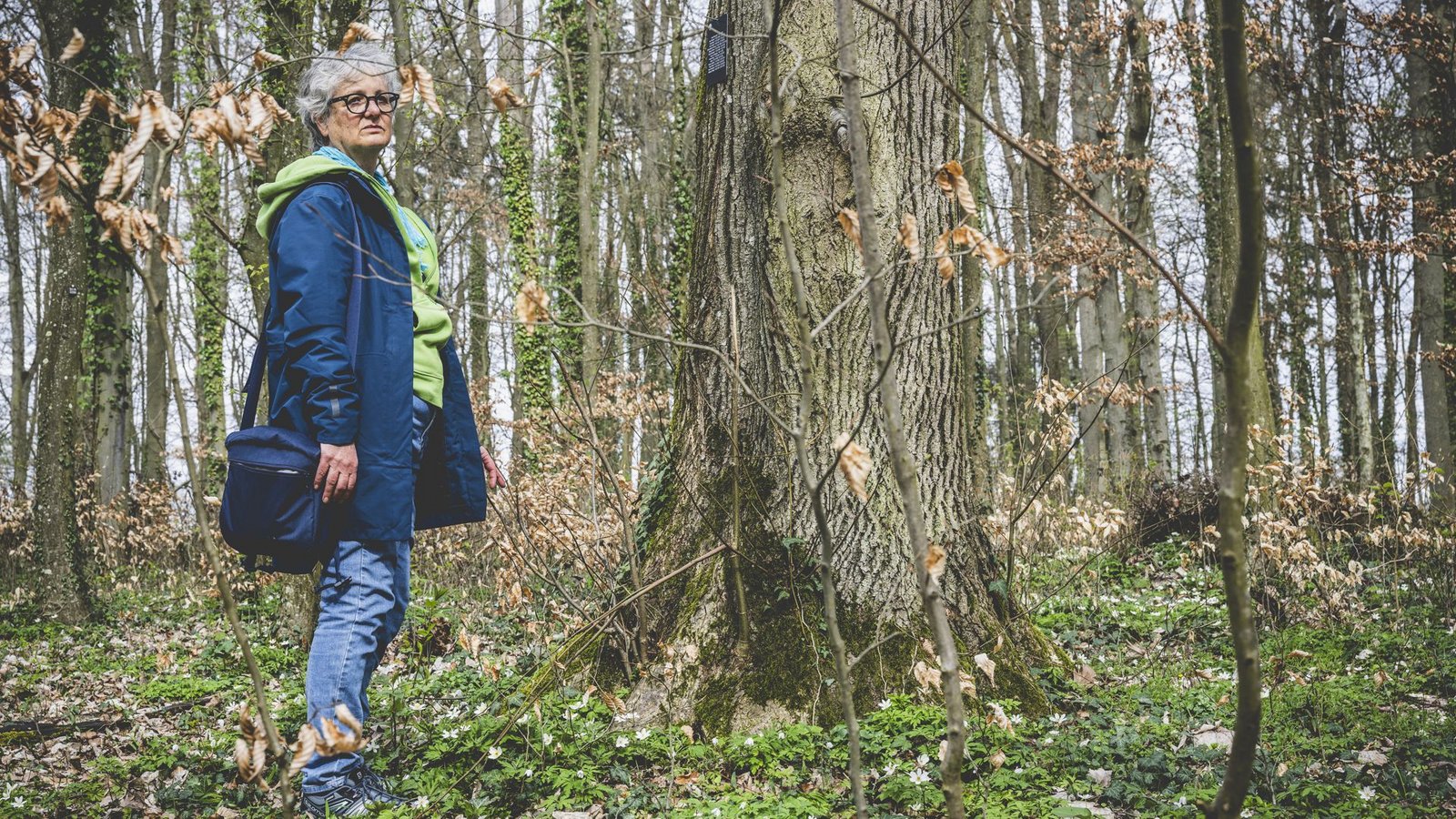 Letzte Ruhe unter der Linde im Friedwald. Hier ist ihr Bruder gut aufgehoben, findet Ute.Foto: © sichtlichmensch/ Andreas Reiner Letzte Ruhe unter der Linde im Friedwald. Hier ist ihr Bruder gut aufgehoben, findet Ute.Foto: © sichtlichmensch/ Andreas Reiner