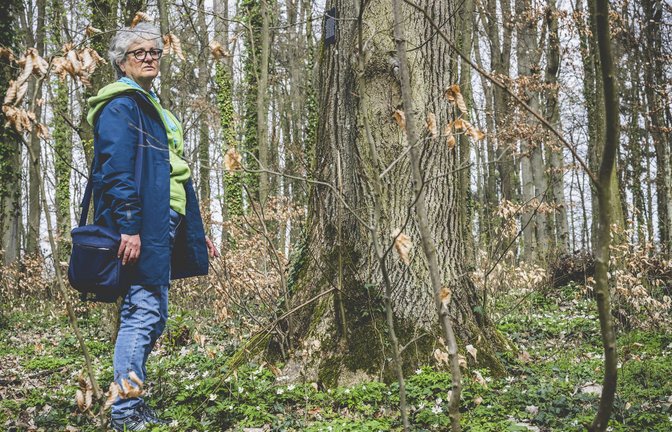 Letzte Ruhe unter der Linde im Friedwald. Hier ist ihr Bruder gut aufgehoben, findet Ute.<span class='image-autor'>Foto: © sichtlichmensch/ Andreas Reiner</span>