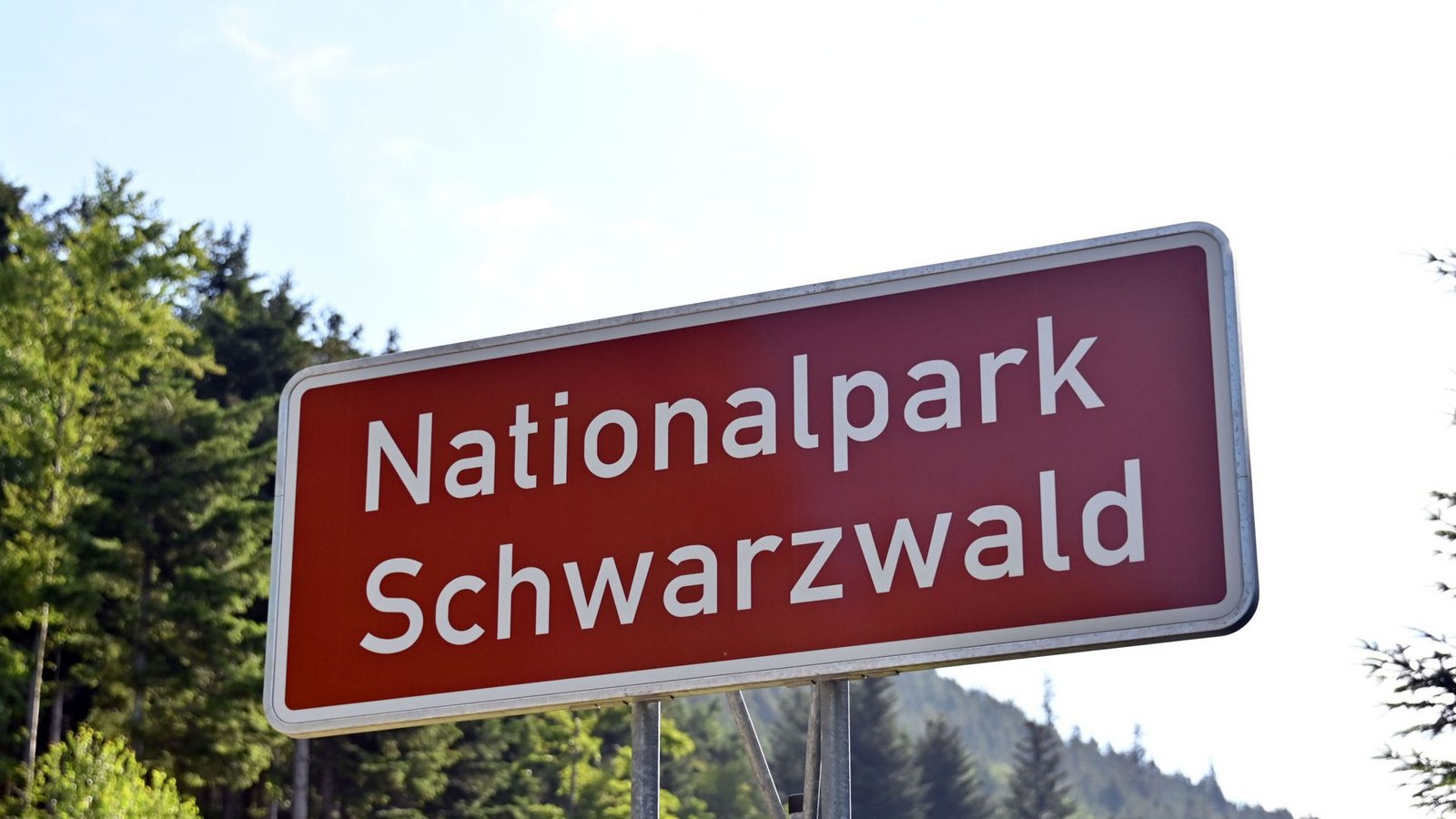Der Nationalpark könnte wieder zum Zankapfel werden.Foto: dpa/Uli Deck Der Nationalpark könnte wieder zum Zankapfel werden.Foto: dpa/Uli Deck