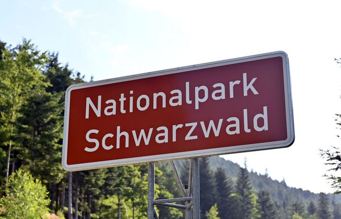 Der Nationalpark könnte wieder zum Zankapfel werden.<span class='image-autor'>Foto: dpa/Uli Deck</span>