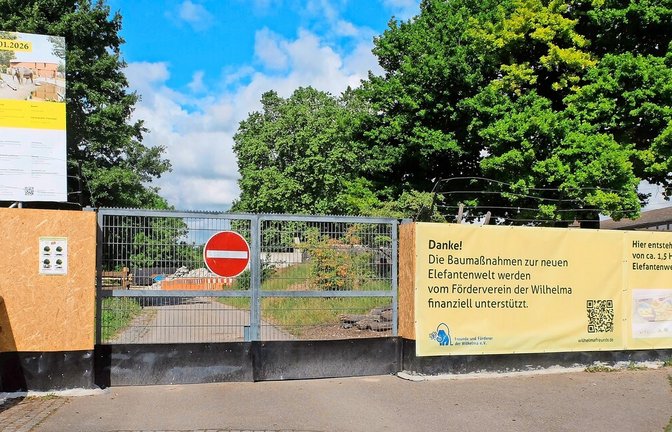 Die Baustelle der Elefantenwelt mit neuem Zufahrtstor für die Baufahrzeuge.<span class='image-autor'>Foto: Iris Frey</span>