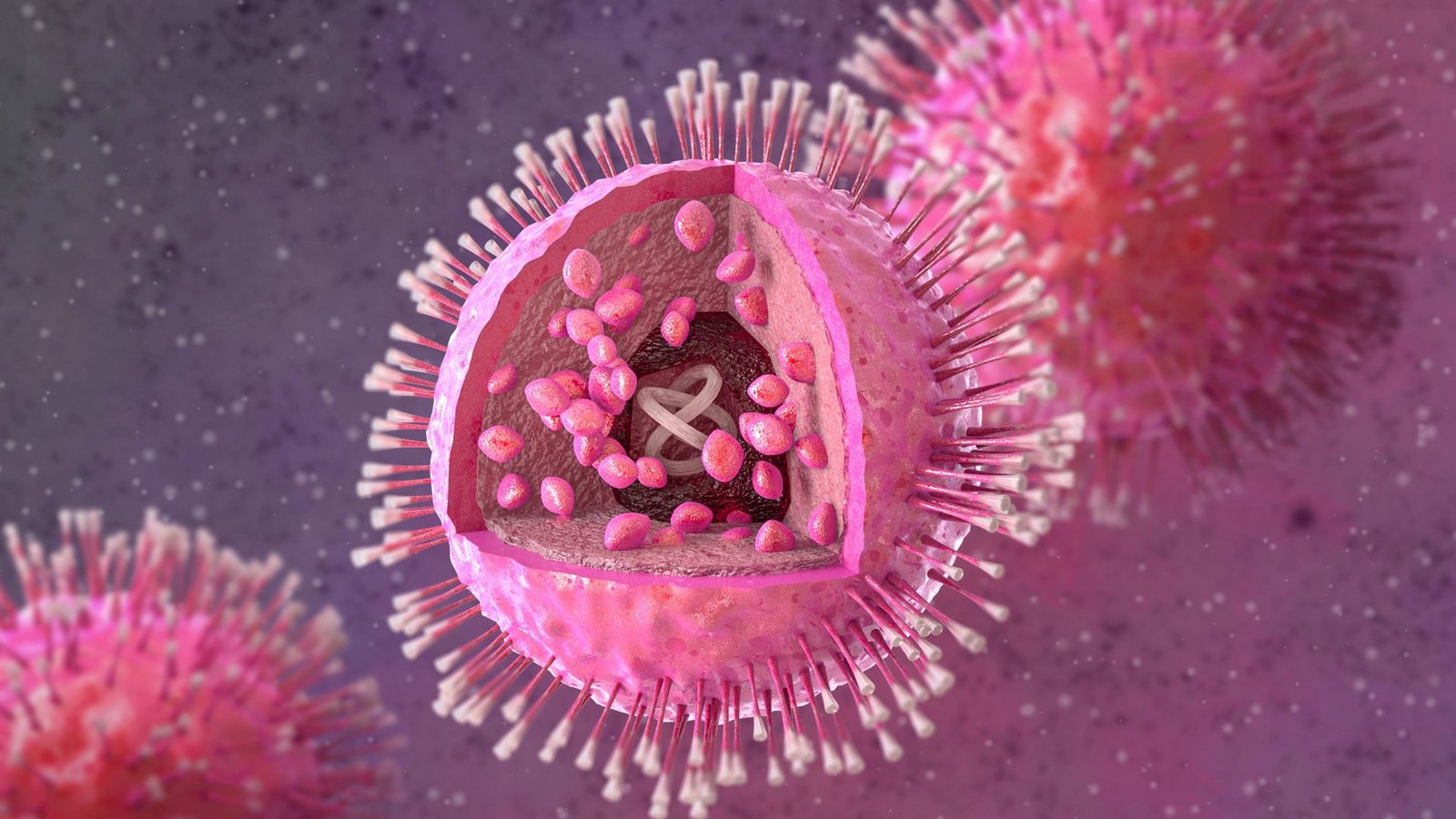 HHV-6A/B (Humane Herpesviren Typ 6A und 6B) sind zwei eng verwandte, weit verbreitete Viren, die meist schon im frühen Kindesalter lebenslang im Körper verbleiben. Während HHV-6B der Hauptverursacher des Dreitagefiebers (Roseola infantum) ist, wird HHV-6A oft mit neurologischen Problemen, Immunschwäche-bedingten Krankheiten und Fruchtbarkeitsproblemen in Verbindung gebracht.Foto: Imago/Depositphotos