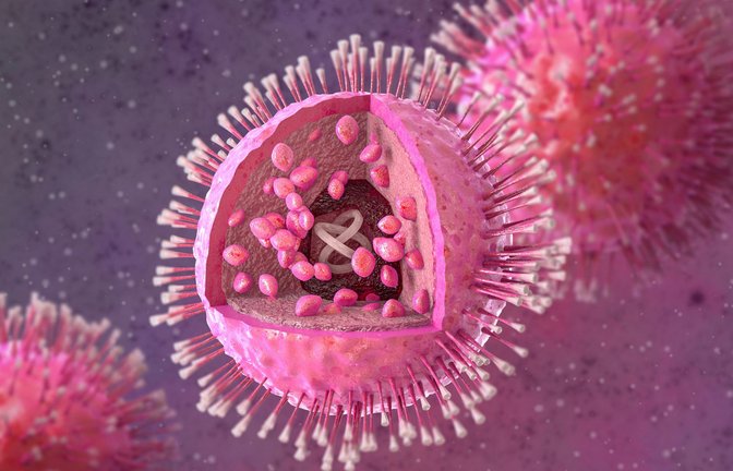 HHV-6A/B (Humane Herpesviren Typ 6A und 6B) sind zwei eng verwandte, weit verbreitete Viren, die meist schon im frühen Kindesalter lebenslang im Körper verbleiben. Während HHV-6B der Hauptverursacher des Dreitagefiebers (Roseola infantum) ist, wird HHV-6A oft mit neurologischen Problemen, Immunschwäche-bedingten Krankheiten und Fruchtbarkeitsproblemen in Verbindung gebracht.<span class='image-autor'>Foto: Imago/Depositphotos</span>
