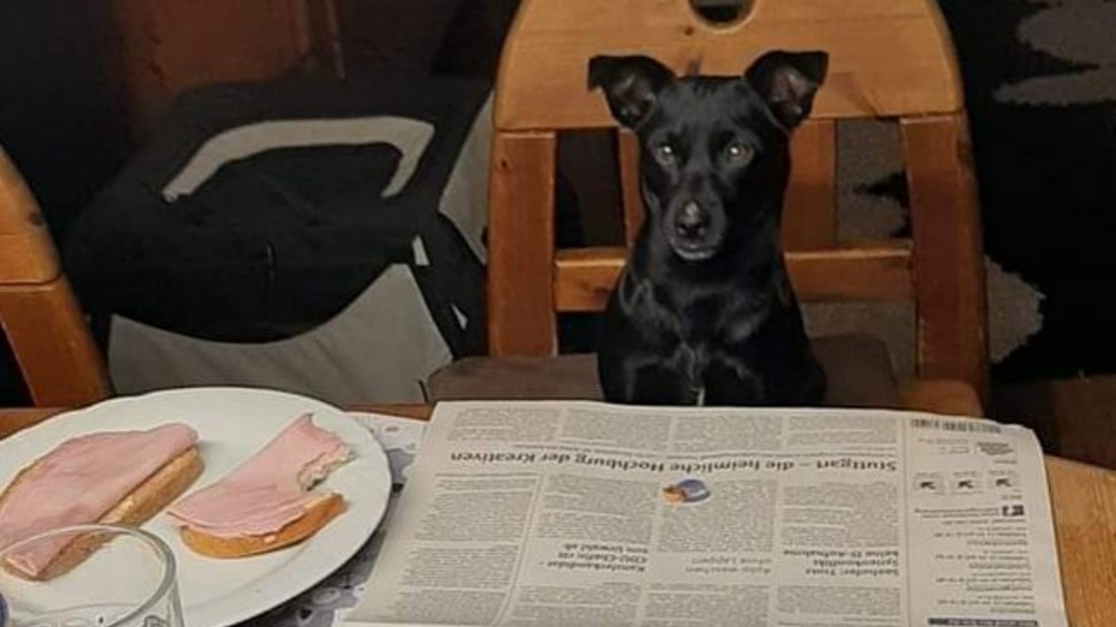 Wurstbrot oder VKZ? Schwere Entscheidung für Negrita aus Ensingen, schreibt Oliver Rößle.