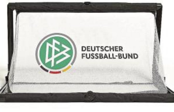 Unter den 150 Gewinnern von jeweils vier Mini-Toren des DFB ist auch der A-Ligist SV Iptingen. Foto: privat