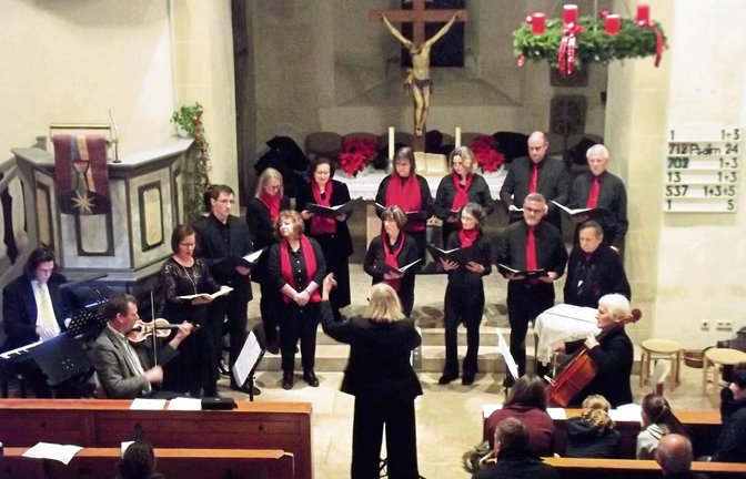 Das Vokalensemble Sersheim mit dem „Von deiner Güt’ o Herr“ aus der „Schöpfung“ von Joseph Haydn für Solisten, Chor und Instrumente. Foto: p