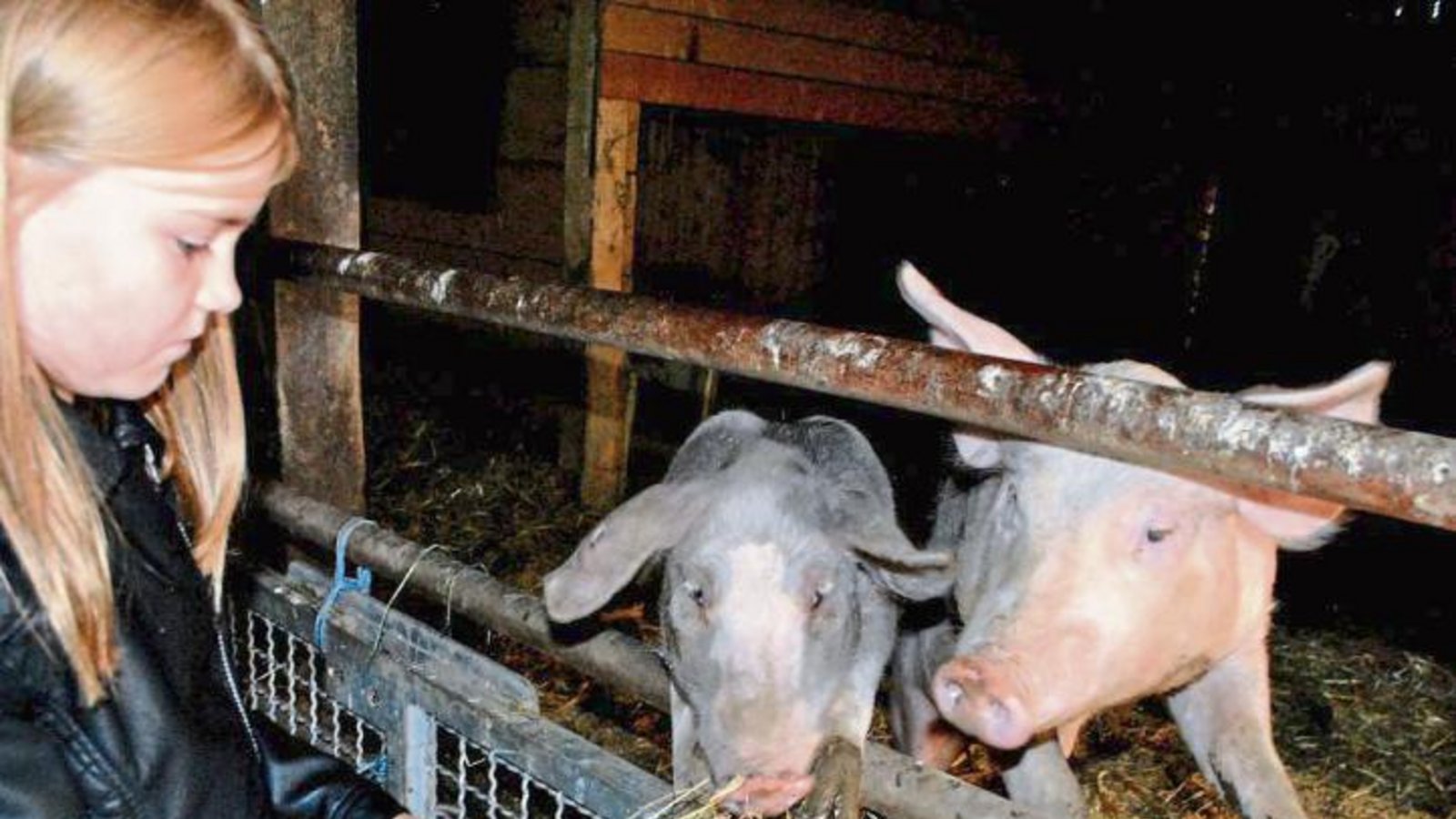 Mister Piglet (helles Schwein) und Madame Chloé ließen sich verwöhnen.  Foto: Stahlfeld