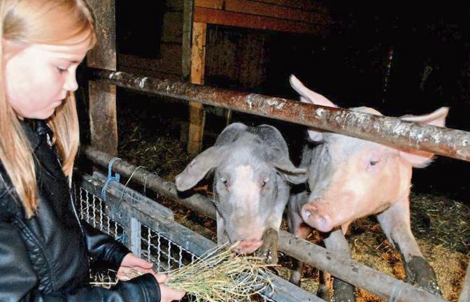 Mister Piglet (helles Schwein) und Madame Chloé ließen sich verwöhnen.  Foto: Stahlfeld